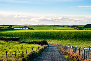 Wall Mural - Beautiful scene of agriculture in a rural area at sunset. Green grassland, house, and cloudy sky.