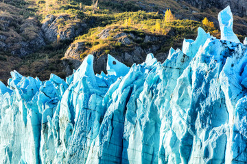 Wall Mural - Alaska iceberg closeup cruise ship in Glacier Bay