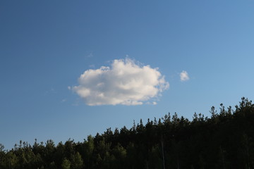 White clouds above the forest