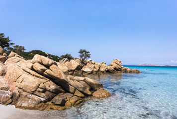 Capriccioli Beach with interesting rock formation and tree surrounded by turquoise sea, Sardinia, Italy