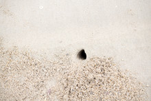 The Hole Was Dug By Crabs To Nest In The Sand By The Sea