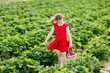 © famveldman - Kids pick strawberry on berry field in summer