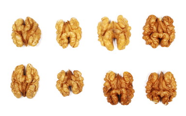 Set walnut kernels isolated on white background, top view