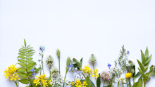 Wildflowers On White Background