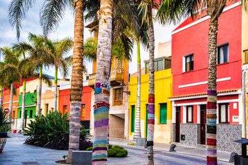  Colourful houses and palm trees on street in Puerto de la Cruz town, Tenerife, Canary Islands, Spain