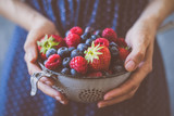Fototapeta  - Organic fresh harvested berries. Hands holding fresh juicy berries, closeup