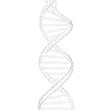 DNA chain spiral chain of nucleotides