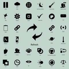 Poster - refresh sign icon.  Detailed set of minimalistic icons. Premium graphic design. One of the collection icons for websites, web design, mobile app