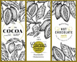 Cocoa bean tree banner template set. Chocolate cocoa beans background. Vector hand drawn illustration. Vintage style illustration.
