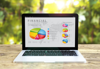 Poster - laptop with financial data on table
