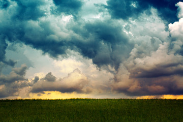 Wall Mural - gray rainy sky and summer field.