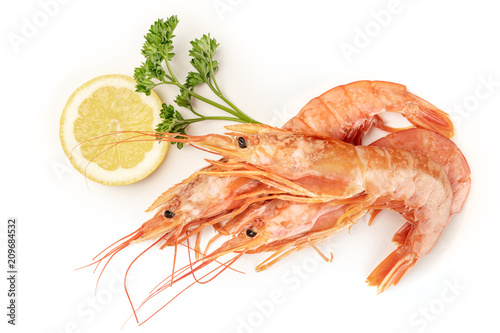 Fotografía Overhead photo of raw shrimps on white, with parsley and a lemon slice, with cop
