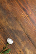 Eine Blume auf Hintergrund aus Holz
