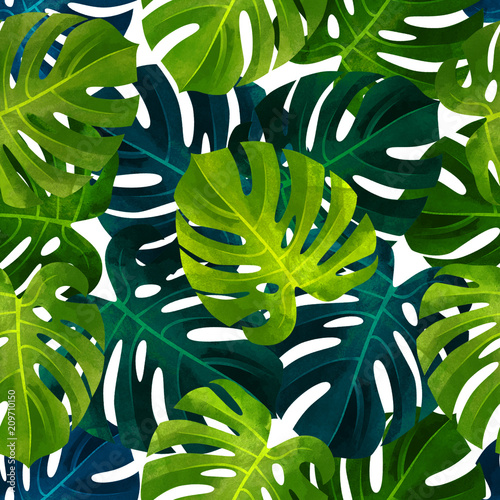 tropikalny-wzor-z-lisci-monstera