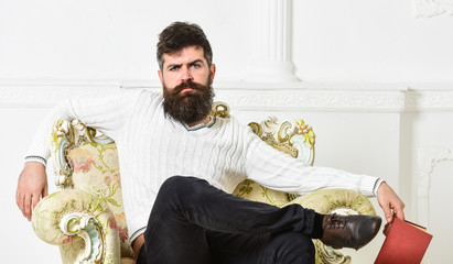 Leinwandbilder - Man with beard and mustache sits on armchair, holds book, white wall background. Connoisseur on thoughtful face finished reading book. Connoisseur of literature concept. Guy thinking about literature.