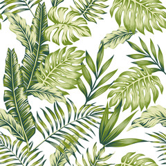 Pastel green jungle white background