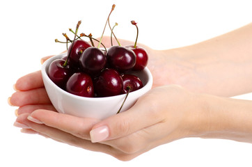 Cherries in a bowl in hands on white background isolation