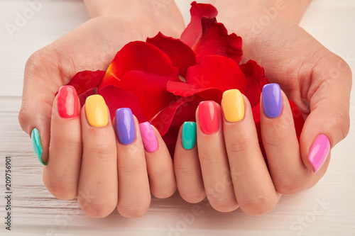 Multi Colored Nails rose petals in female manicured hands beautiful woman hands with multicolored nail polish with red