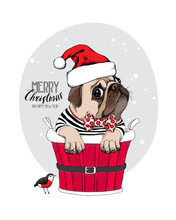 Christmas Card. Pug Dog In A Red Santa's Cap And With A Funny Party Bow Tie Inside Of A Bucket. Vector Illustration.