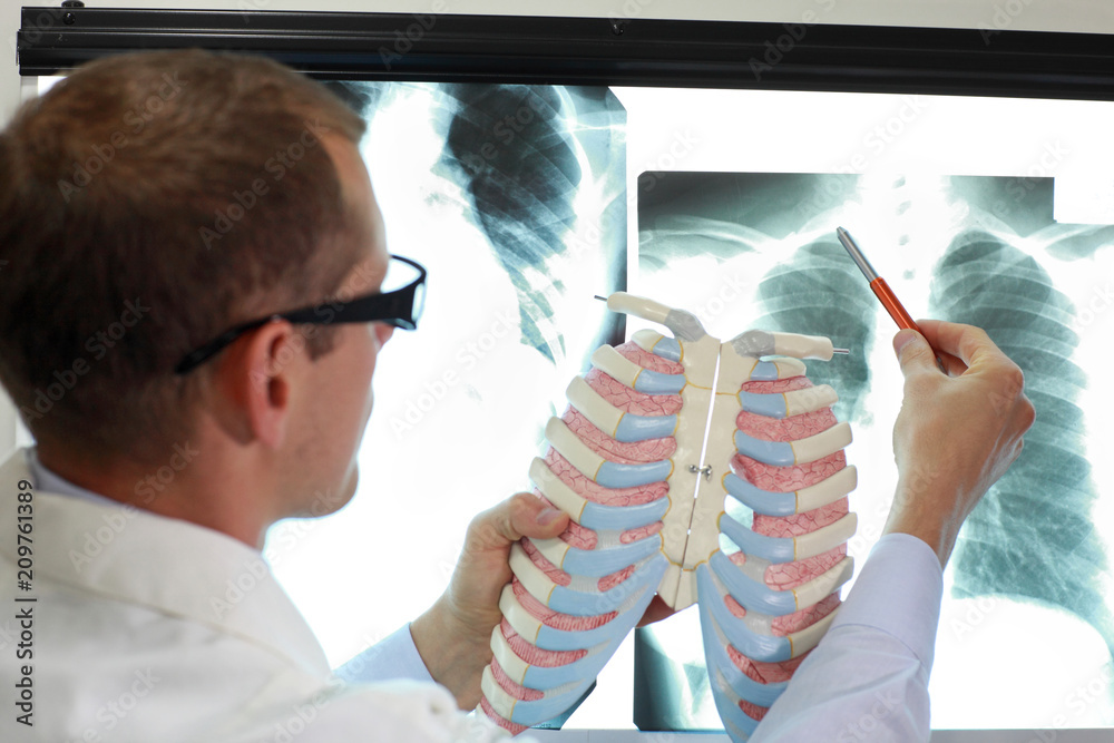 doctor with ribs and lungs model watching image of chest at x-ray film ...