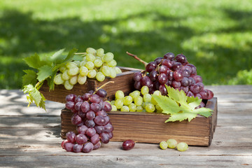 Wall Mural - White and red grape