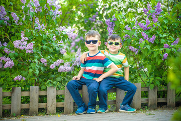 Portrait of two little brothers sitting on small fence in bushes of lilac wearing casual style clothes