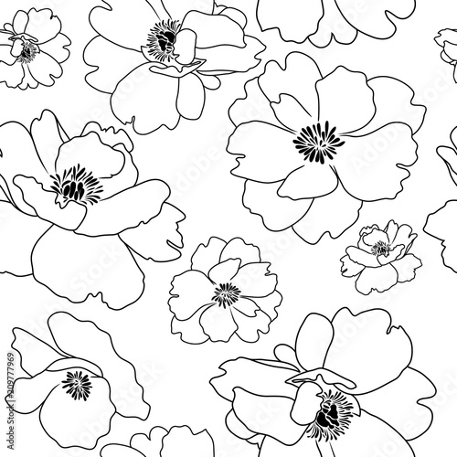 Poppy flower outline, seamless background