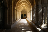 Romanesque Cloisters Church of Saint Trophime Cathedral in Arles. Provence,  France