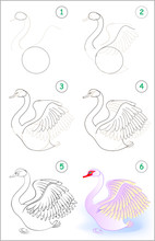 Page Shows How To Learn Step By Step To Draw A Cute Swan. Developing Children Skills For Drawing And Coloring. Vector Image.