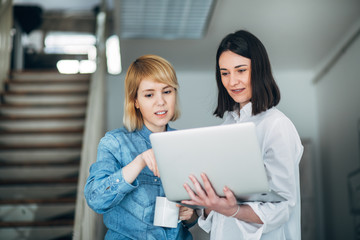 Colleagues working in office