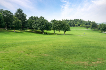 Wall Mural - Green lawn in urban public park