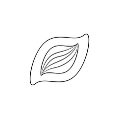 Poster - Cocoa beans line icon. Element of chocolate icon for mobile concept and web apps. Thin line Cocoa beans line icon can be used for web and mobile. Premium icon