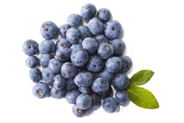 Wall Mural - natural blueberries isolated in white background