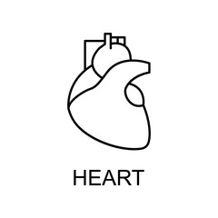 Poster - heart line icon. Element of medicine icon with name for mobile concept and web apps. Thin line heart icon can be used for web and mobile
