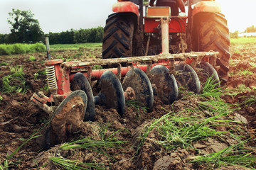 worker with tractor plowing for planting. agriculture at local