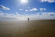 Single person walking on piha beach New Zealand