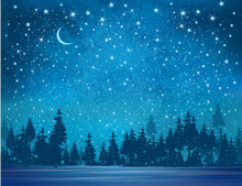 Vector Winter Wonderland Background. Starry Night Sky And Forest Background.