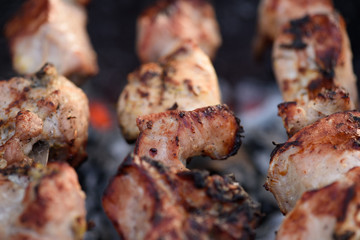 close up of pork kebab (shashlik) on skewers at grill