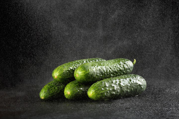 Sprinkling water over five green fresh small cucumbers (gherkins) on a black background with waterdrops