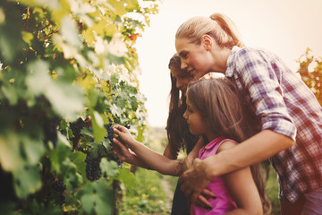 Wall Mural - Winemaker family together in vineyard