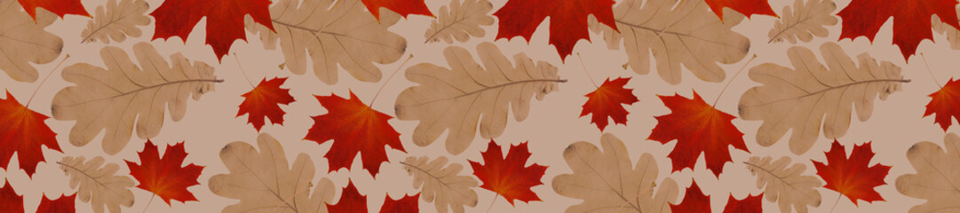 Wall Mural -  panorama autumn pattern from  oak leaves and dry red maple leaves