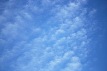 Wall Mural - white clouds on a blue sky at dawn.