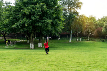 Wall Mural - Children are flying on the grass in the public park