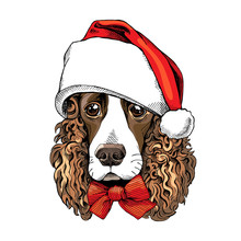 Portrait Of A Spaniel Dog In A Santa's Hat And With Bow. Vector Illustration.