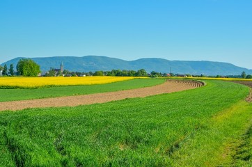 Beautiful colorful spring landscape. Colorful meadows in the countryside.