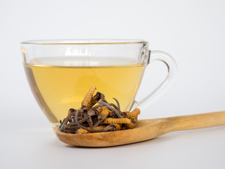 Wall Mural - Group of Ophiocordyceps sinensis or mushroom cordyceps this is a herbs placed on wooden spoon in front of a glass of cordyceps water. on isolated background. National organic medicine.