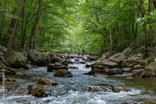 Cuadros en Lienzo Looking from the center of a stream with large boulders in a forest