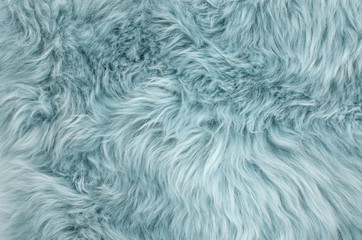 blue sheepskin rug background sheep fur