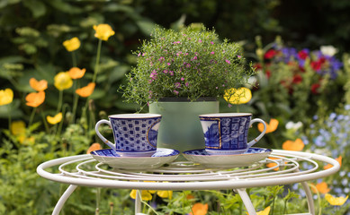 Two blue cups and flower in a pot are on a vintage table in a beautiful garden among flowers. Concept: table for two.