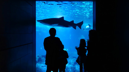 Silhouettes of visitors in an aquarium